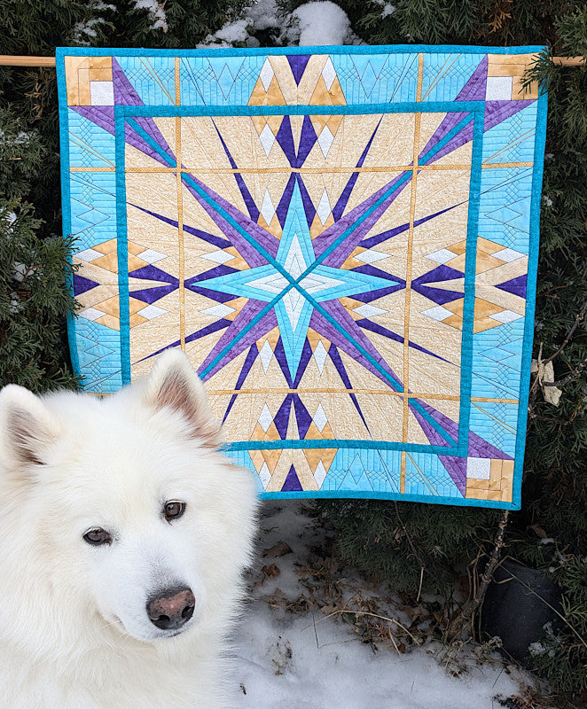 Foundation Pieced quilt called "Harlequin" - finished size is 27.5" square