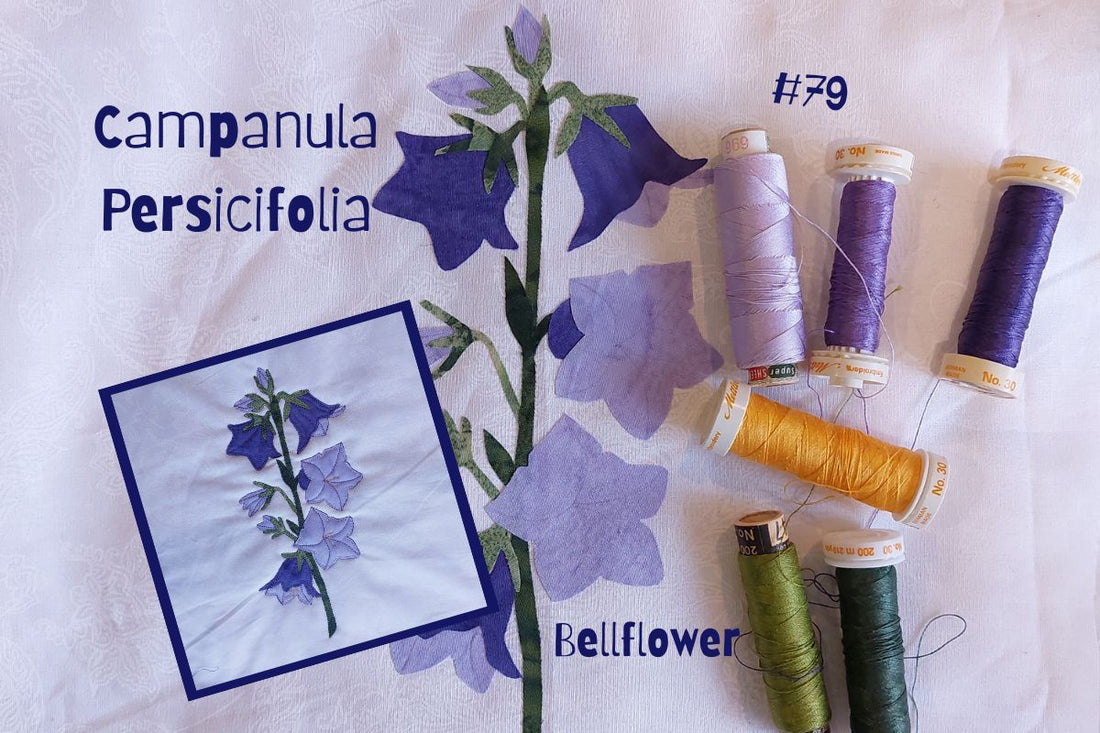 the making of campanula persicifolia applique flower block (bellflower)