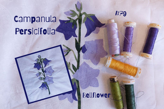 the making of campanula persicifolia applique flower block (bellflower)