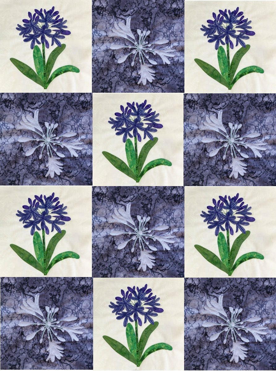 agapanthus block quilt using 2 different blocks