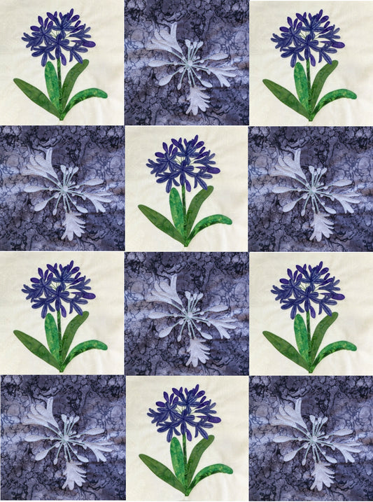 agapanthus block quilt using 2 different blocks