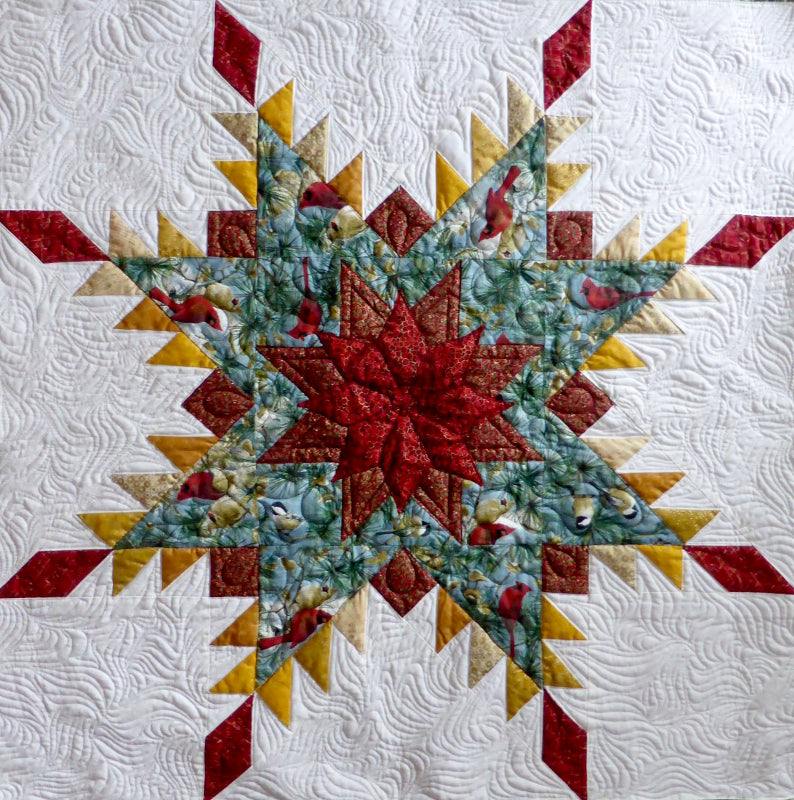 Stars and Squares – LAP QUILT – 2024 Christmas Colors