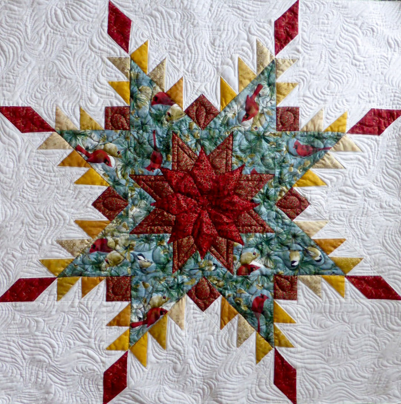 feathered star design used as the central feature in Anita's Christmas quilt